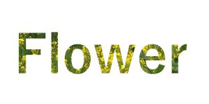 SVGのtextタグを使って画像をマスクする